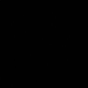 Meet your Posher, Aryanna